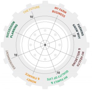 Tractor Wheel of Life Self Assessment Tool
