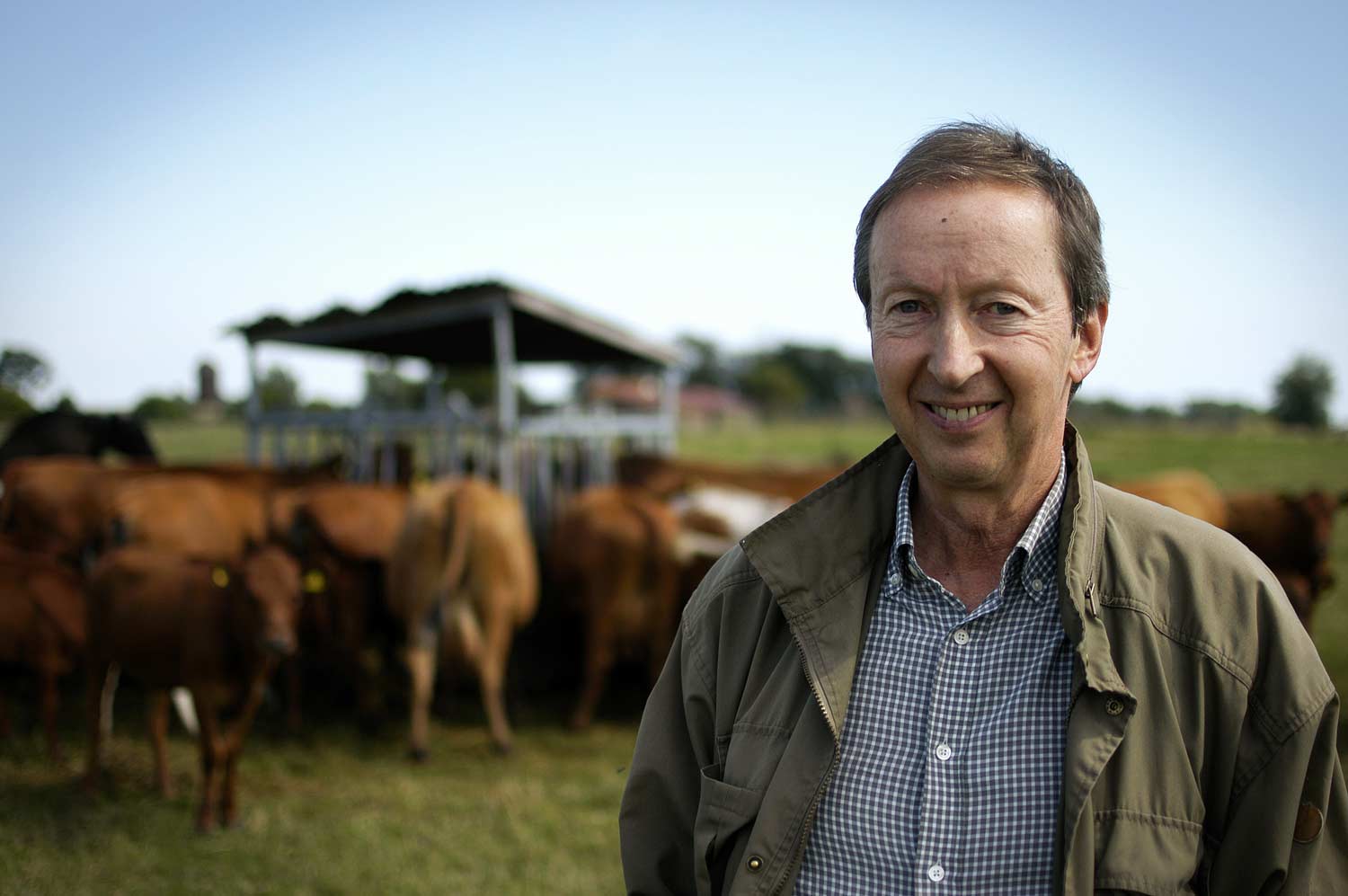 Smiling farmer stood in front of his herd