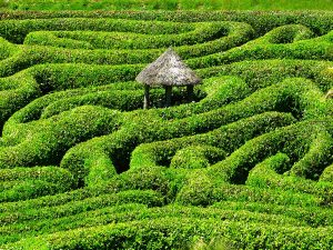 Glendurgan Maze