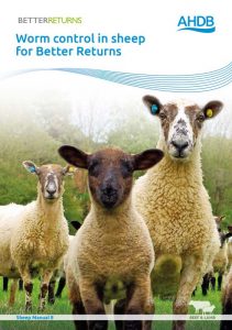 worm control in sheep for better returns from AHDB