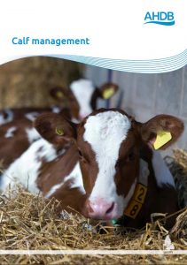AHDB Calf management booklet
