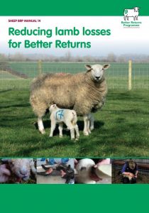 Reducing lamb losses for Better Returns booklet