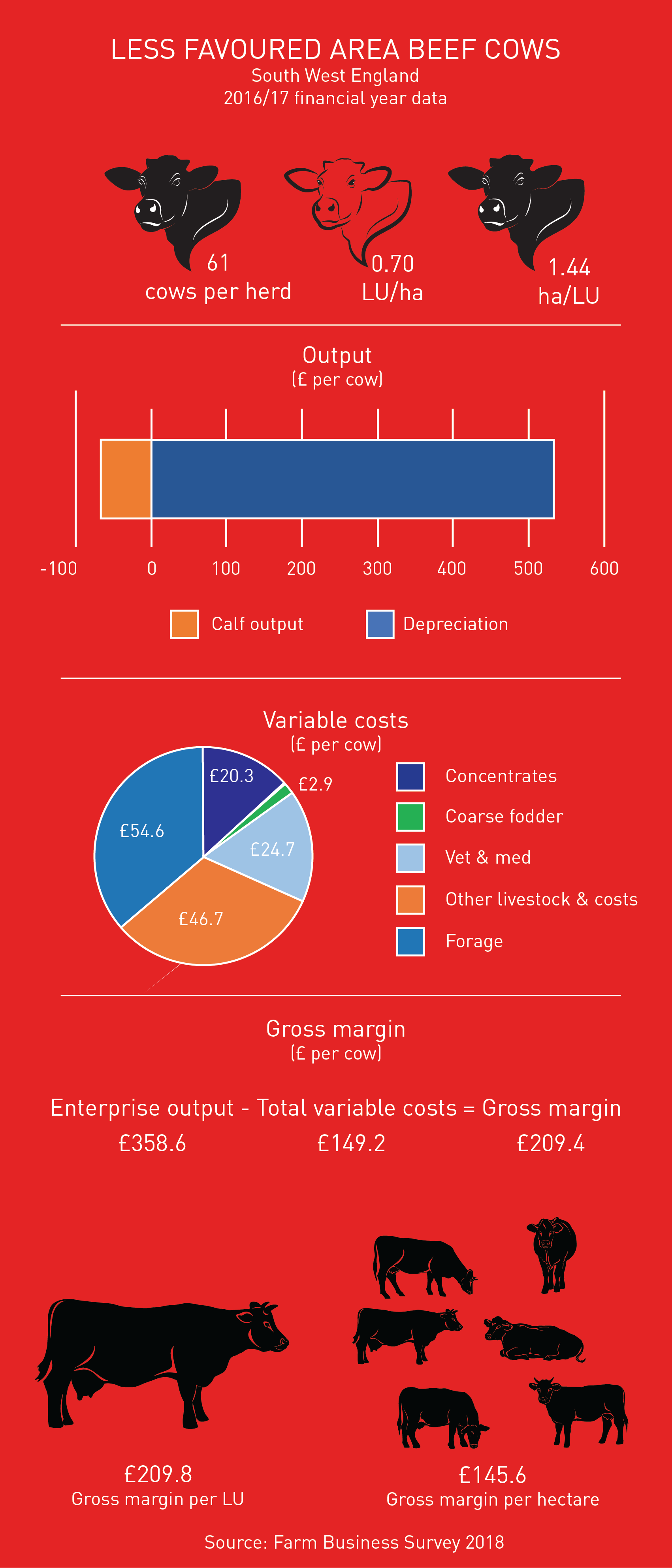 LFA beef cows gross margin infographic