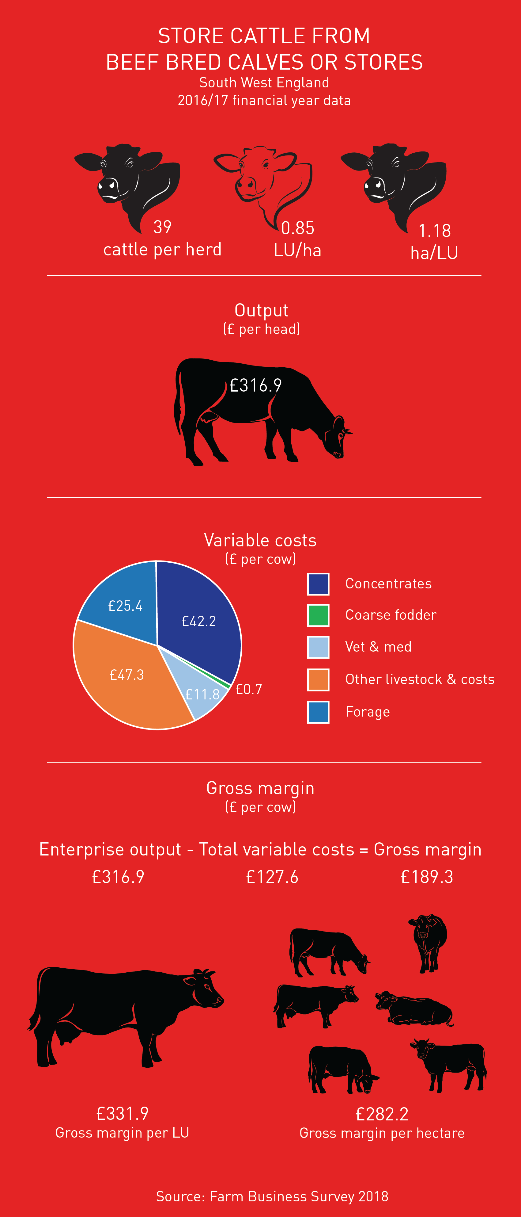 Store cattle from beef bred calves or stores gross margin