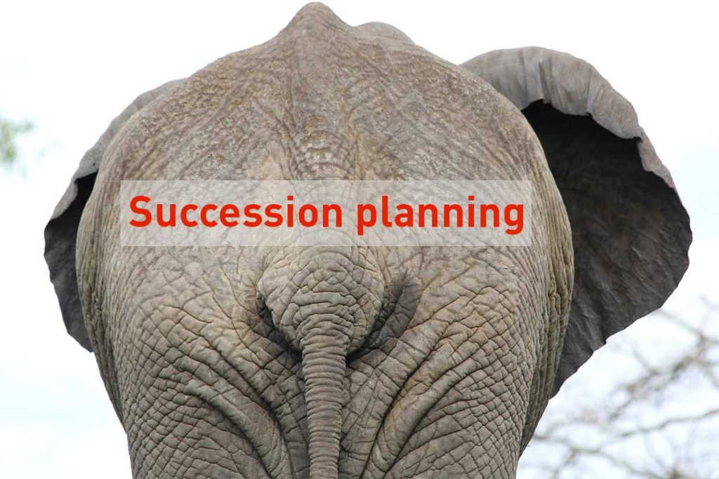 Removing the succession planning elephant from the room