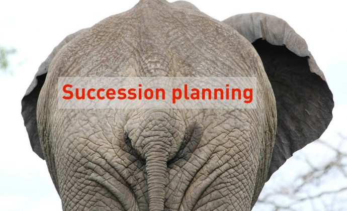 Removing the succession planning elephant from the room