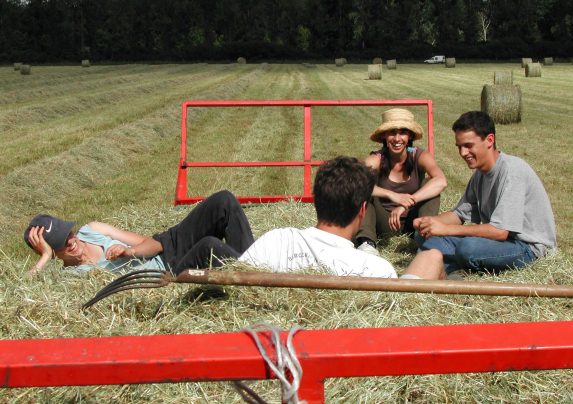 Group of young farmers taking a break from baling